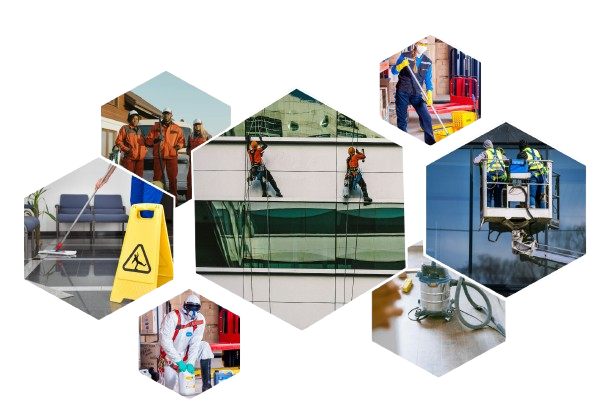 cleaning services wellington